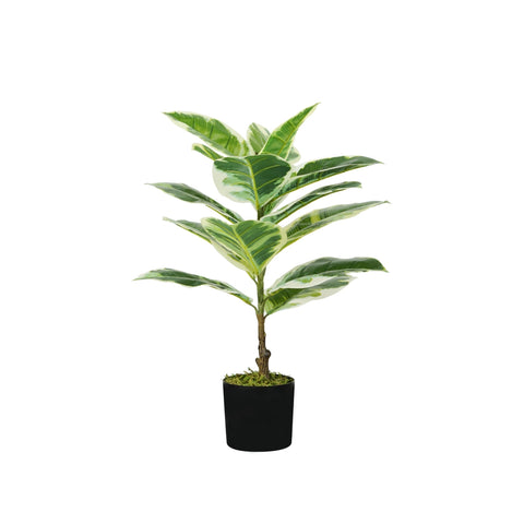 Polietilén Ficus Elastica növény 15 levéllel, mohás cseréppel, 65 cm