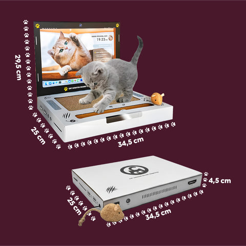 Graffiatoio Interattivo per Gatti a Forma di PC Portatile con Giochi Inclusi