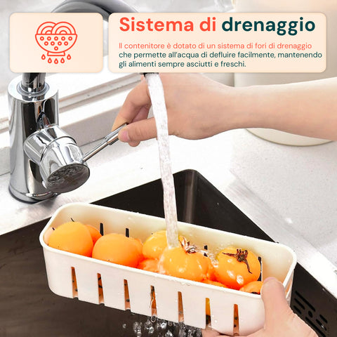 Contenitore con 4 Scomparti in PP – Chiusura a Clip e Funzione Sgocciolatoio