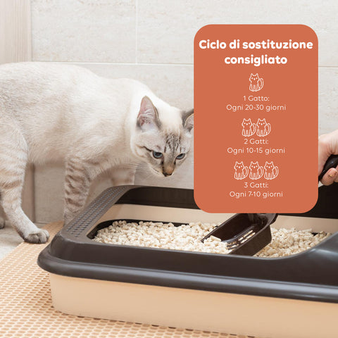 Substrato Assorbente Vegetale 6L - Sabbietta per Lettiera Gatto 4+2 Omaggio