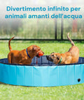 Due cani che giocano in piscina pieghevole - Divertimento infinito per animali amanti dell'acqua in giardino