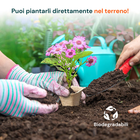 zendea vasetti in torba biodegradabili per semina e trapianto set 120 pezzi ean 8050030810546