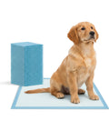 puppy lovers tappetini igienici essential 6090 set vari formati con adesivi ean 8054806950870